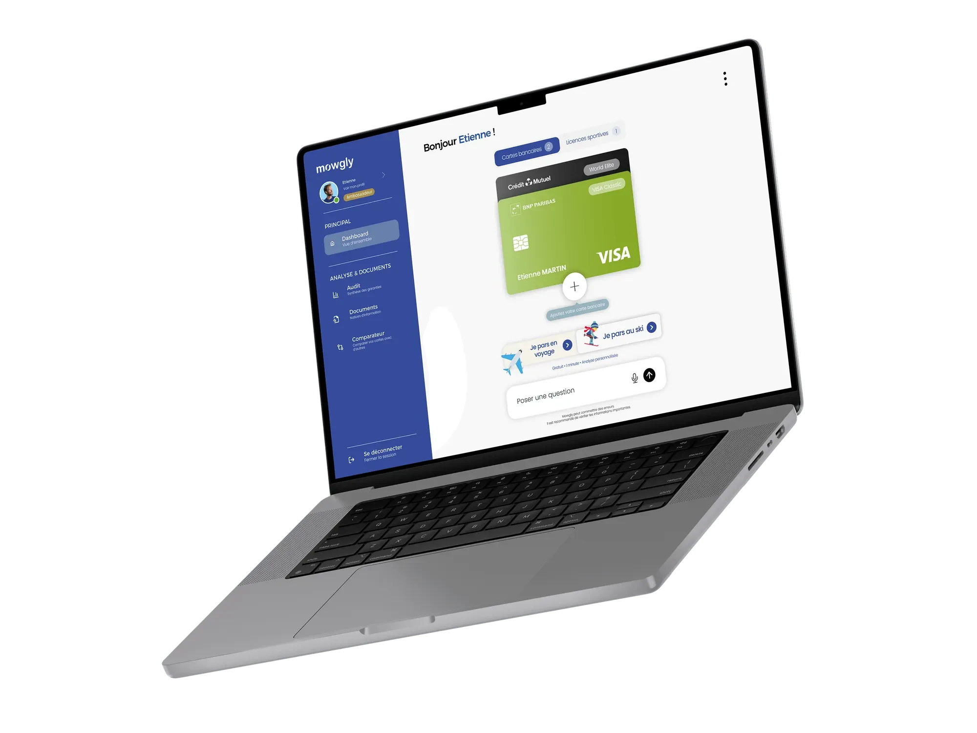 Tableau de bord MOWGLY sur ordinateur : cartes bancaires et actions voyage ou ski